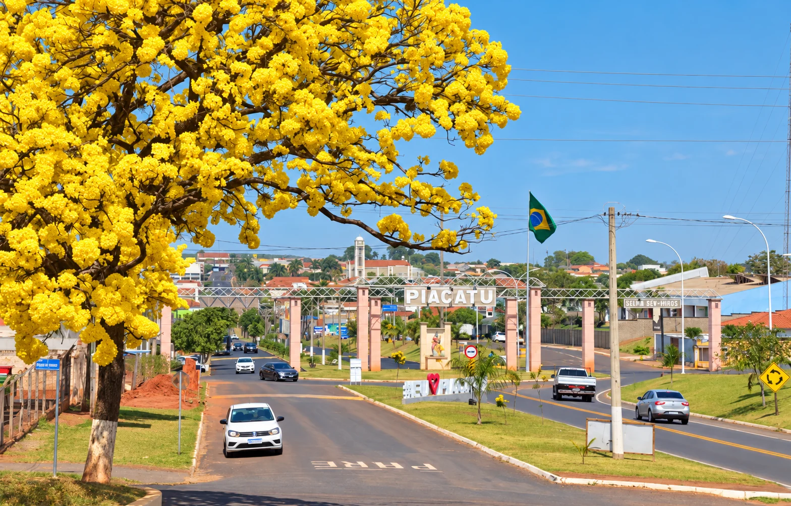 Entrada de Piacatu com ipê amarelo em flor
